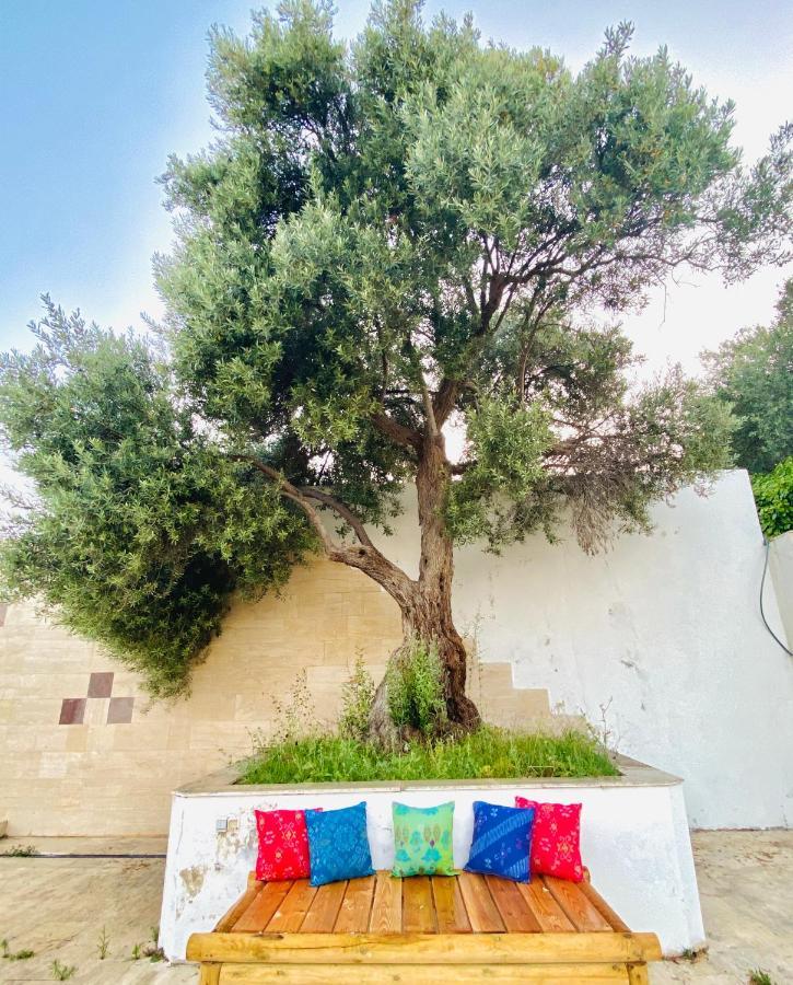 Alacati Barbarossa Hotel Cesme Exterior photo